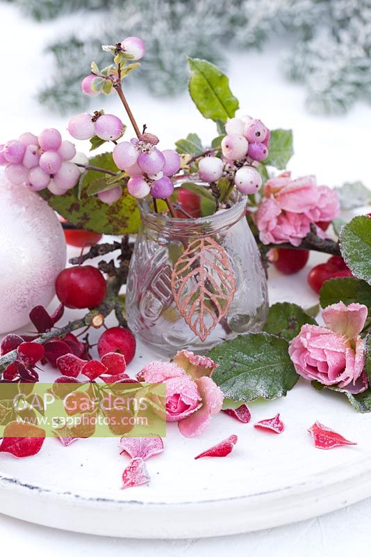 Affichage givré de Snowberries dans un bocal en verre, avec des pommes sauvages rouges et des roses roses sur un plateau blanc
