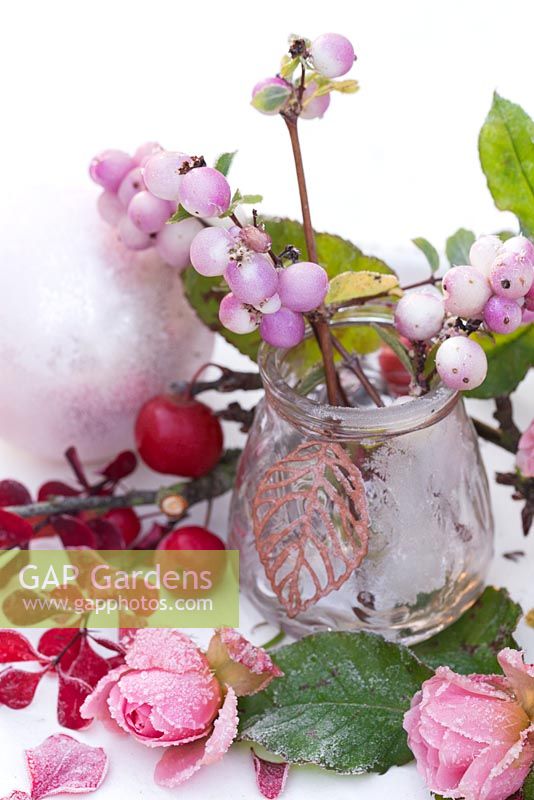 Affichage givré de Snowberries dans un bocal en verre, avec des pommes sauvages rouges et des roses roses sur un plateau blanc