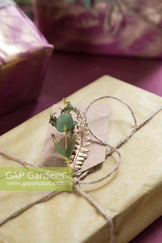 Un cadeau emballé avec une étiquette cadeau naturelle d'eucalyptus et de feuillage de fougère peint à la bombe d'or