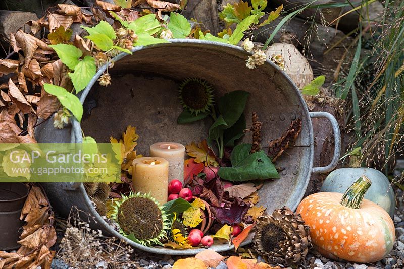 Arrangement dans un bassin en acier inoxydable contenant des bougies allumées, des malus, des citrouilles, des têtes de graines de tournesol et des feuilles d'automne