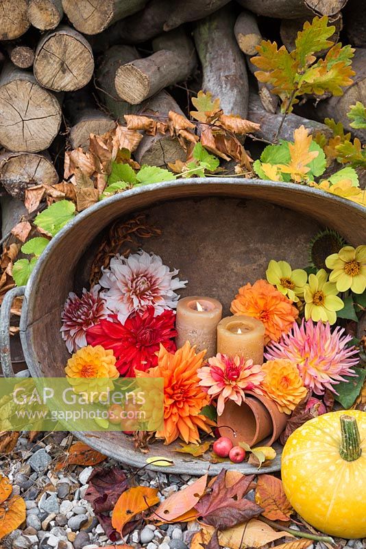 Arrangement dans un bassin en acier inoxydable contenant des bougies allumées, du malus, des citrouilles et une variété de dahlias coupés
