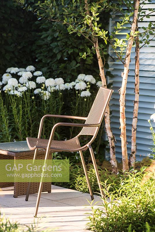 Espace détente avec chaise en métal entouré de Betula nigra Retreat Garden. Concepteur: Martin Royer. Commanditaire: Final5