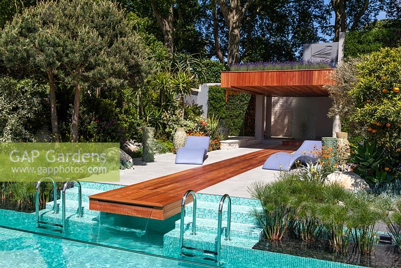 Jardin de luxe avec terrasse ensoleillée, cascade et piscine. Transats lilas sculptés contemporains et le toit planté de lavande