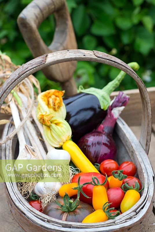 Trug en bois avec divers légumes d'été récoltés, y compris les tomates, l'oignon, les courgettes, l'aubergine et l'ail.