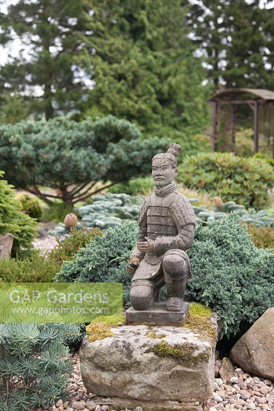 Une statue de guerrier en pierre dans un jardin de style japonais. conifères et roches. Juin, North Yorkshire.