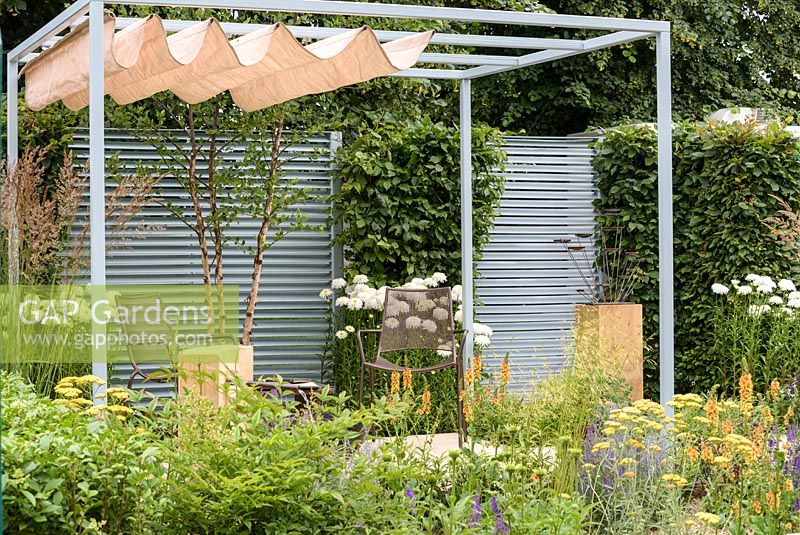 Coin salon avec Verbascum 'Clementine', Perovskia 'Lacey Blue' et Deschampsia cespitosa 'Goldtau' - Retreat Garden, RHS Hampton Court Palace Flower Show 2016