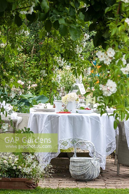 Panier en osier blanc à côté de la table avec de la porcelaine blanche, des fruits et des fleurs dont Euphorbia 'Diamond Frost', Hortensia, Tanacetum parthenium et Rambler 'Bobby James'
