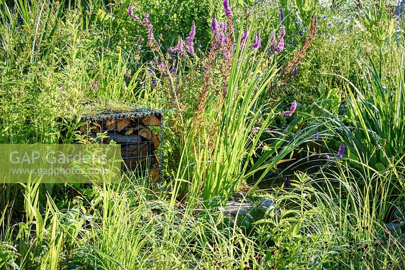 Plantation et gabion dans le WWT Working Wetlands Garden. Hampton Court Flower Show 2016 - Concepteur: Jeni Cairn, commanditaire: Wildfowl et Wetland Trust soutenu par le programme HSBC Water