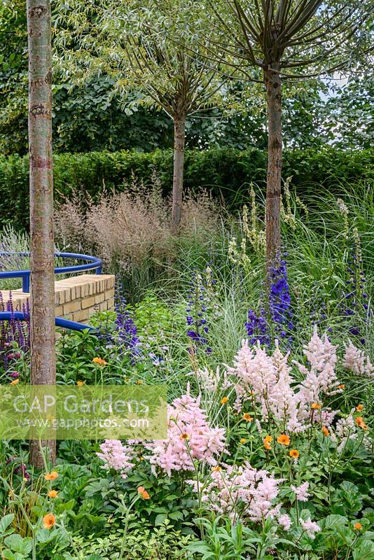 Plantation dans The Abbeyfield Society: a Breath of Fresh Air, RHS Hampton Court Palace Flower Show 2016. Conception: Rae Wilkinson