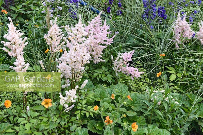 The Abbeyfield Society: a Breath of Fresh Air, RHS Hampton Court Palace Flower Show 2016. Conception: Rae Wilkinson