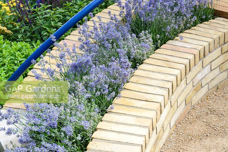 Rampes bleues incurvées au-dessus des bancs de briques avec Lavandula 'Hidcote '. The Abbeyfield Society: a Breath of Fresh Air, RHS Hampton Court Palace Flower Show 2016. Design: Rae Wilkinson