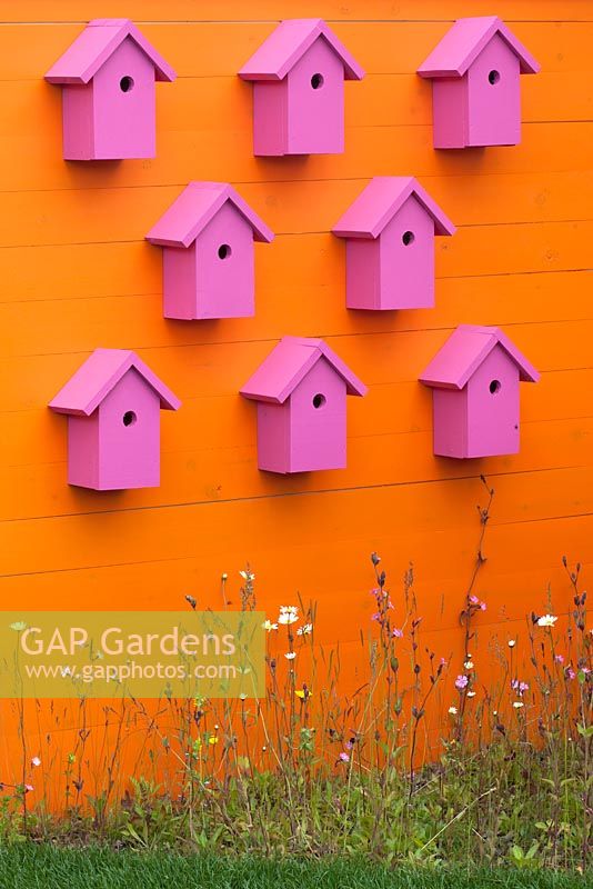 Boîtes à oiseaux de couleur dans le jardin familial au BBC Gardener's World Live 2015