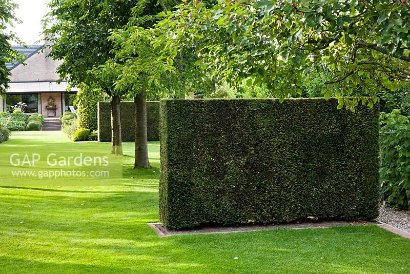 Formes géométriques de couverture d'if. Jardin Anneke Meinhardt