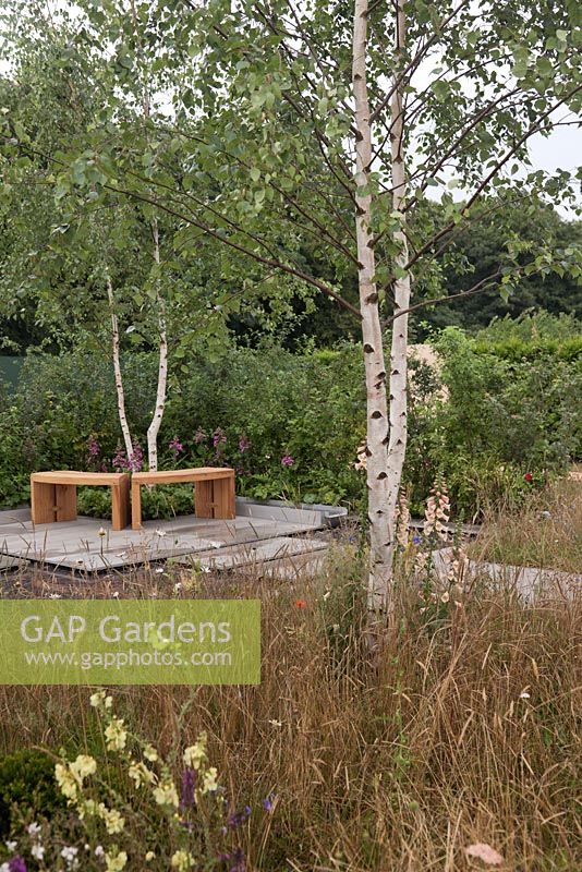 Bancs en bois incurvés devant un jardin de style prairie contemporain avec haie indigène avec ruisseau - 'Nature et culture' au RHS Tatton Park Flower Show 2016