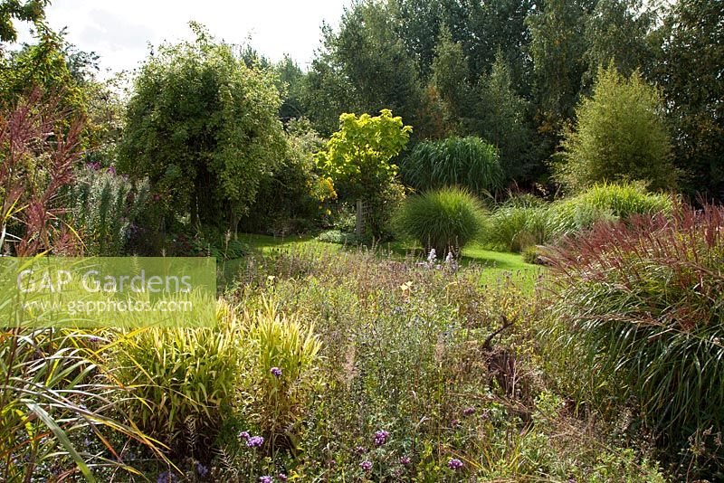 Vue sur le jardin à Norwell Nurseries Nottinghamshire en septembre