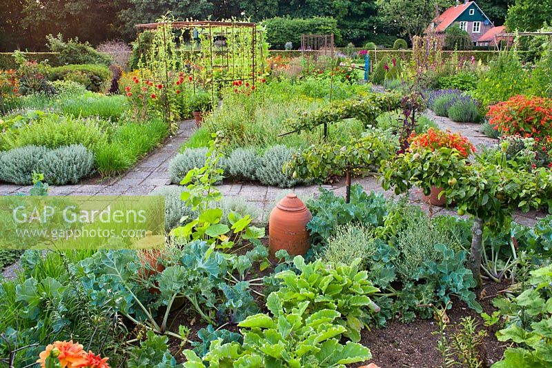 Bordures végétales de légumes et d'herbes dans le potager. Conception: Dineke Logtenberg