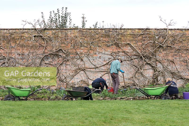 Trois jardiniers d'affilée travaillant sur le long parterre de fleurs de Waterperry Garden.