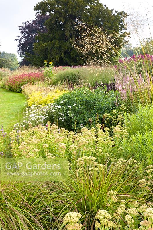 Le labyrinthe floral à Trentham Gardens, Staffordshire, conçu par Piet Oudolf. Photographié en été, la plantation comprend Sedum, Veronicastrum, Solidago, Persicaria et Stipa giganea