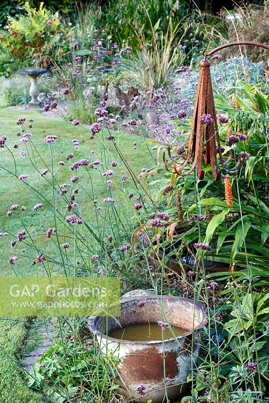 Little Ash Garden, Fenny Bridge, Devon. Seau en métal en automne parterre de fleurs avec Verveine bonariense et sculptures en métal