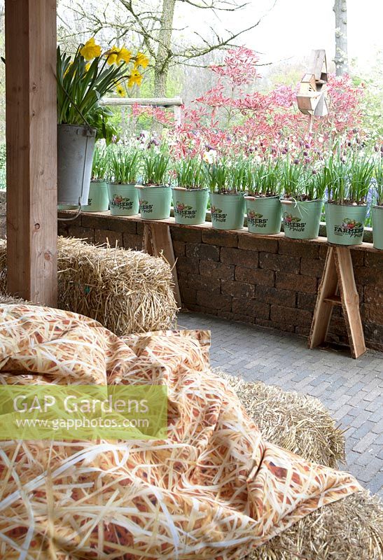 Salon de foin avec des oreillers décorés de foin. Fritillaria messanensis dans des seaux décorés sur un plateau. Jardin d'inspiration agricole à Keukenhof 2017.