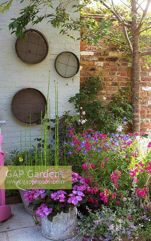 Vieux tamis de jardin sur le mur avec des pots d'hortensia et de prêle roseau