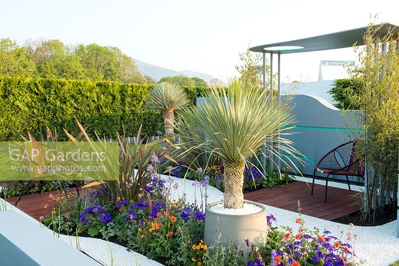 Yucca rostrata en pots entourée de plantations de Geum et Phormium - Spa Garden - Ocean Garden, RHS Malvern Spring Festival 2017 - Design: Michael Damien