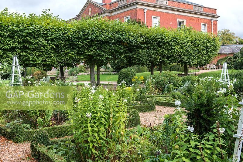 Le jardin blanc à Kelmarsh Hall, avec des parterres de fleurs formels et une avenue de tilleul.