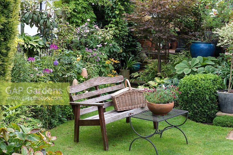 Dans un coin herbeux d'un petit jardin de banlieue, banc et table avec pot de diascia. Derrière, parterre d'anémones japonaises, cleome, rudbeckia et roses.