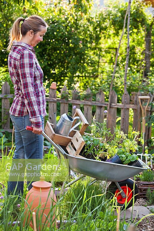 Femme poussant la brouette remplie de plants de légumes et d'herbes.