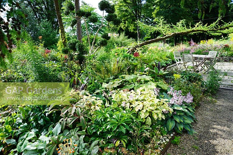 Terrasse avec des sièges à côté de la maison à côté d'un parterre plein de plantes à feuillage aimant l'ombre, y compris les fougères, les hostas, le Podophyllum 'Spotty Dotty', les hellébores et les rodgersias.