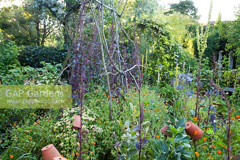 Potager informel avec des pots en terre cuite et des cadres de plantes rustiques. Jardin: Rustling End Cottage, Hertfordshire. Propriétaires: M. et Mme Wise