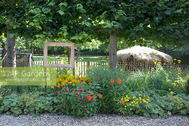 Cadre en bois avec vue sur les oies dans le jardin. Tanacetum vulgare, Alchemilla et Crocosmia dans le parterre de fleurs.