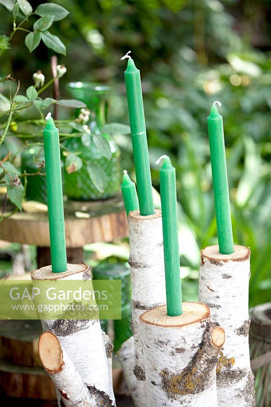 Bougies vertes dans des porte-bougies de branche rustique