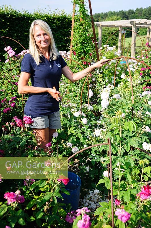 Lindsey Ellis, jardinière en chef. Felley Priory, Underwood, Notts, Royaume-Uni