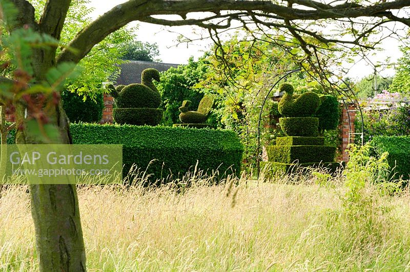 De longues herbes de prairie avec des haies d'ifs coupées et topiaire dans le jardin formel au-delà. Felley Priory, Underwood, Notts, Royaume-Uni