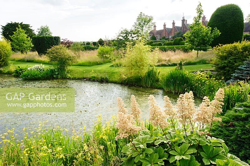 Étang de jardin bordé de rodgerias, primevères et bambous, avec maison au-delà. Felley Priory, Underwood, Notts, Royaume-Uni