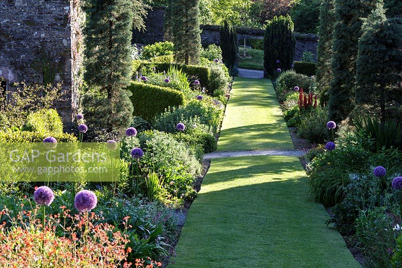 La Garden House, Devon, parterre d'été long parsemé d'Allium 'Globemaster'
