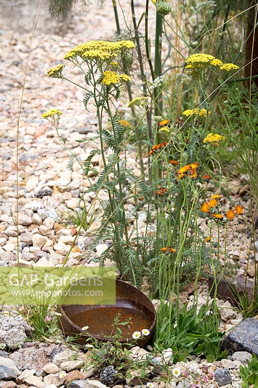 Exposition florale de Hampton Court, 2017. Brownfield Metamorphosis Garden, des. Martyn Wilson. Bol en métal rouillé dans le jardin de gravier