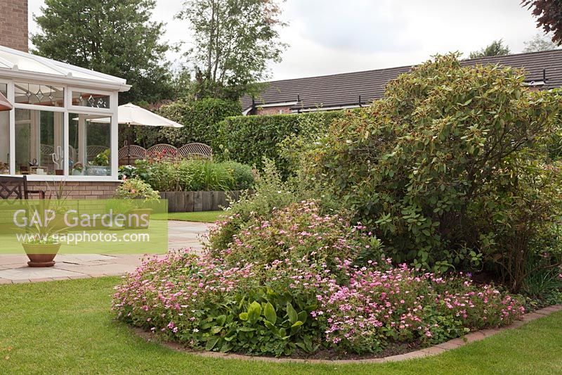 Geranium x oxonianum 'Wargrave Pink' dans le parterre de l'île et vue sur la terrasse du jardin avec des traverses de chemin de fer verticales créant des parterres surélevés - juin, Summerfield Place, Cheshire