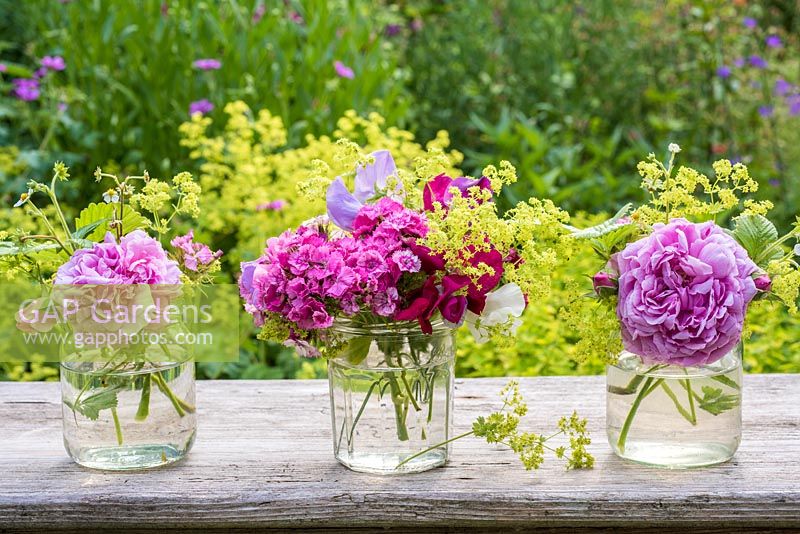 Arrangement floral d'été dans des bocaux en verre avec des roses, Alchemilla mollis, Dianthus barbartus, pois de senteur et fragaria barbartus
