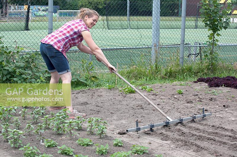 Jessica Zwartjes prépare le sol pour la plantation de jeunes plants.