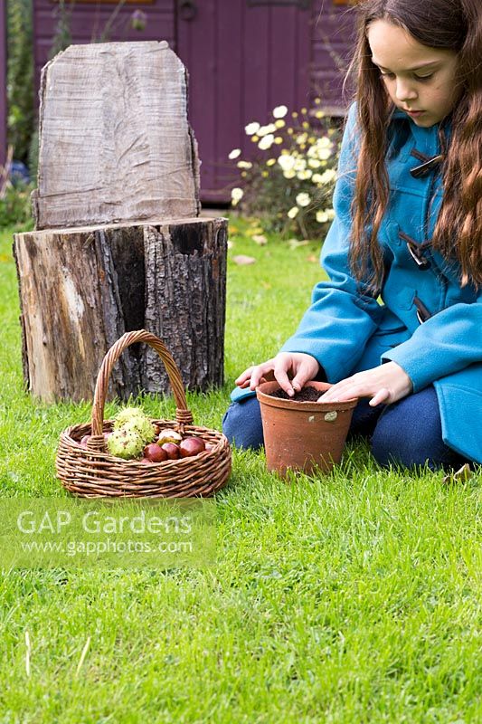 Jeune fille couvrant conker plus de compost supplémentaire