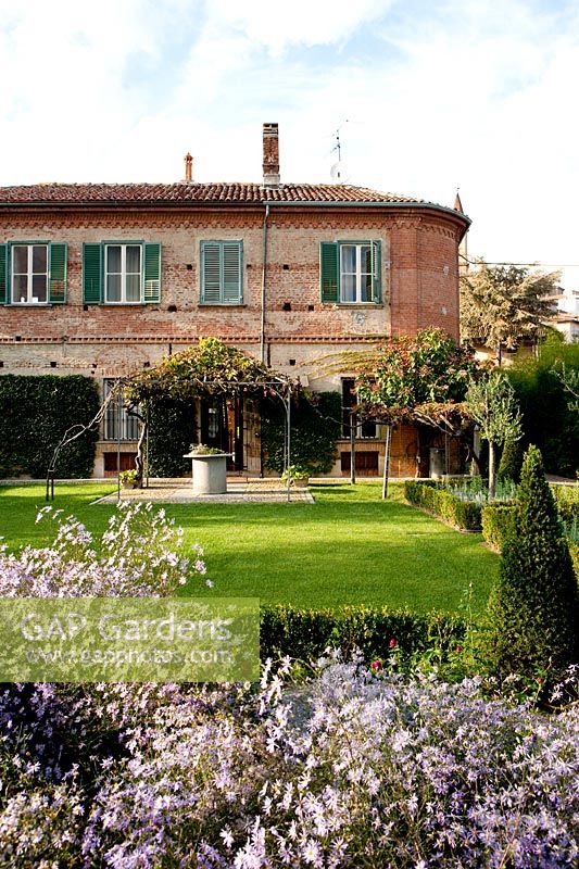 Au premier plan Aster dans un parterre de Buxus sempervirens. Projet de jardin par Anna Regge. Govone, Piemonte. Italie