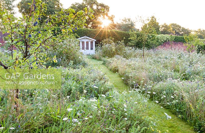 Un chemin herbeux mène à un pavillon d'été, tandis que des fleurs sauvages, fournies par Wildflower Turf Ltd, fleurissent sous un verger de poiriers, de pommiers et de pruniers dans un jardin de campagne moderne du Cheshire, conçu par Louise Harrison-Holland.