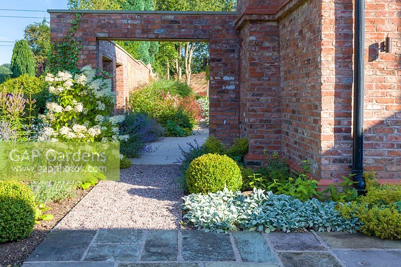 Un jardin dans un jardin de campagne moderne du Cheshire, conçu par Louise Harrison-Holland. La plantation comprend des balles et des haies taillées, des Hydrangea paniculata, des Stachys et des Veronicastrums