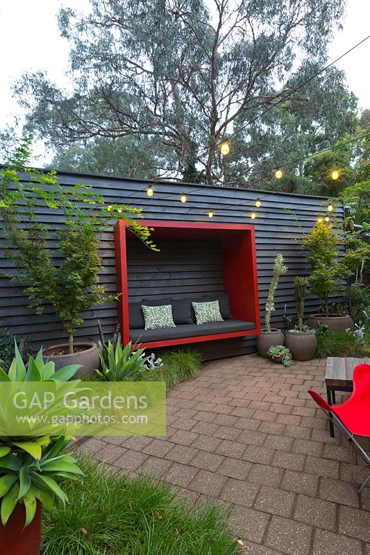 Zone pavée avec un mur en bois peint en noir avec une cosse assise rouge attachée et une collection de grands pots avec un érable et diverses plantes succulentes. Un parterre de fleurs d'herbe indigène australienne, Lomandra 'Tanika '.
