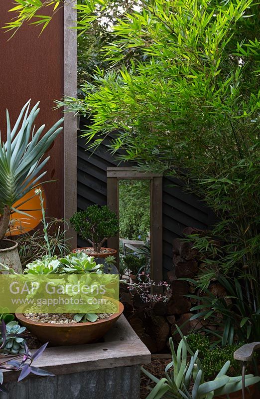 Détail d'angle d'un parterre de jardin surélevé en tôle ondulée avec une succulente dans un pot en terre cuite en forme de plat et une boîte en bois recyclé avec un miroir et un écran vert de bambou.