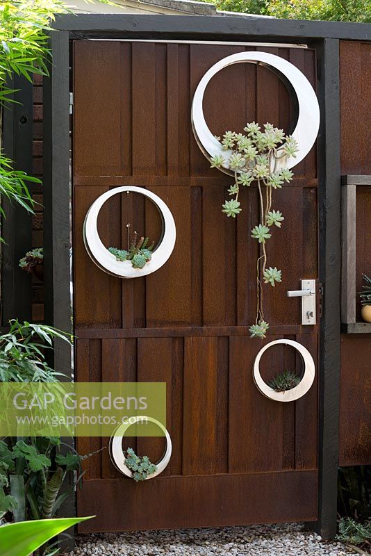 Une porte en acier corten rouillé avec un groupe de pots en métal circulaires peints à la main en blanc plantés de plantes succulentes.