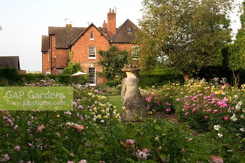David a planté la roseraie en 2015 et a placé l'une de ses sculptures préférées de Pat, son épouse de la Dame avec les canards sur la tête sur le chemin d'herbe entre les deux parterres de fleurs.