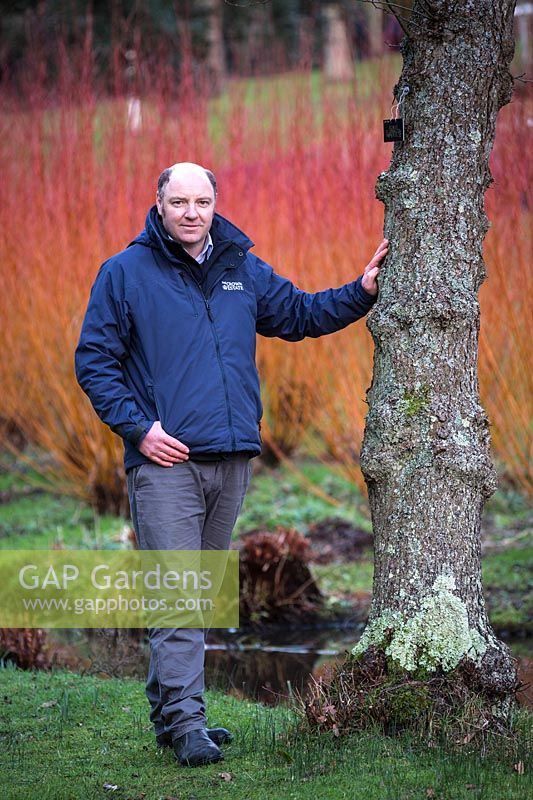 Harvey Stephens, gardien adjoint des jardins, The Savill Garden, Surrey